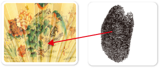 1585639636894264.jpg image013.jpg